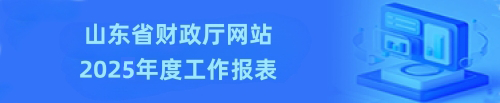 山东省财政厅网站2025年度工作报表