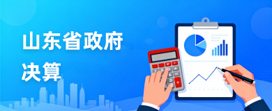 山东省政府决算