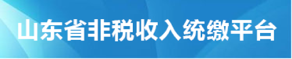 山东省非税收入统缴平台