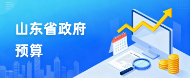 山东省政府预算